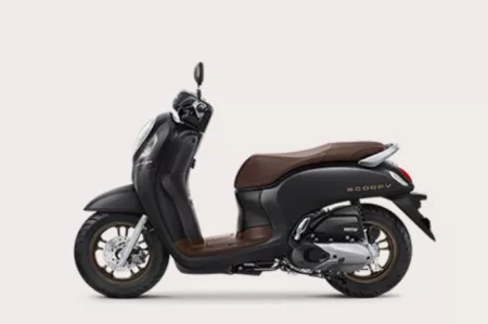 Honda Scoopy