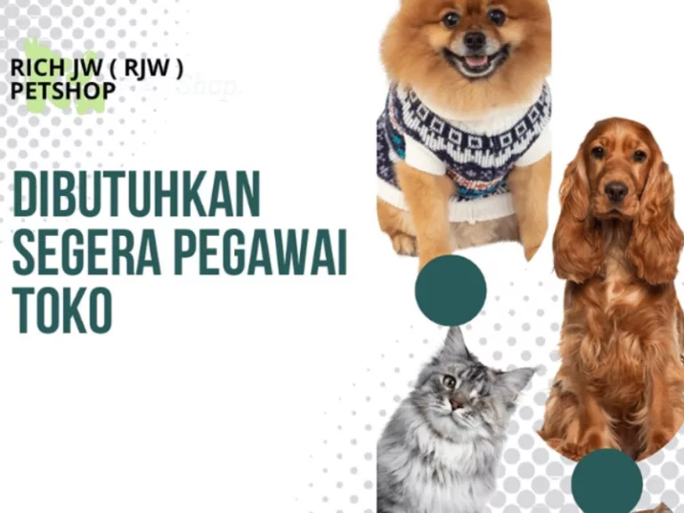 FRESH GRADUATE MERAPAT! Rich JW Petshop Bandung Gelar Loker Terbaru untuk Tamatan SMA SMK