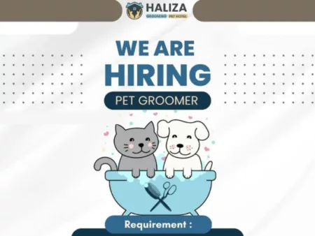 Pecinta Hewan Merapat! Haliza Pet Hotel Buka Loker Terbaru, Ini Syaratnya