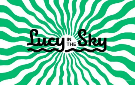 Berikut informasi loker yang diadakan oleh Lucy In The Sky.