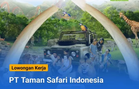 40 Posisi Sekaligus! Taman Safari Indonesia Buka Loker Buat Para Fresh Graduate